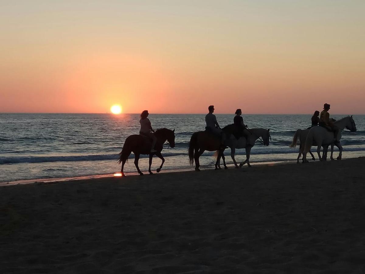 Hébergement de vacances Casa Galuz, Entre La Sierra Y El Mar Alcalá de los Gazules
